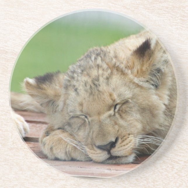 Dessous De Verre En Grès Lion 014 (Devant)