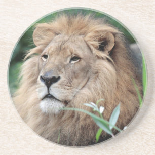 Dessous De Verre En Grès Lion 021