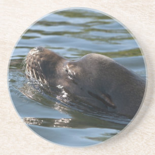 Dessous De Verre En Grès Lion de mer