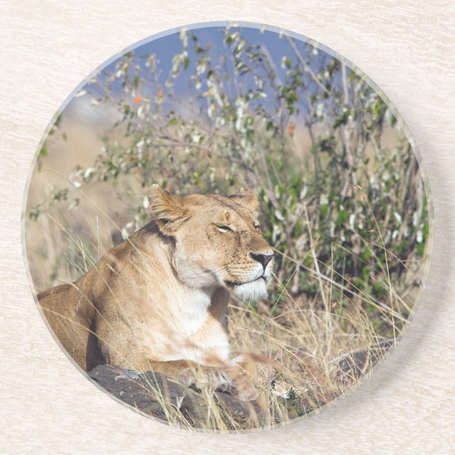 Dessous De Verre En Grès Lioness resting (Devant)