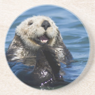 Dessous De Verre En Grès Loutre de mer de Californie Enhydra lutris) se toi