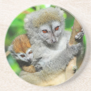 Dessous De Verre En Grès Madagascar, Andasibe, Ile Aux Lemuriens, Mère