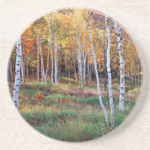 Dessous De Verre En Grès Maine, Parc national d'Acadia, Automne
