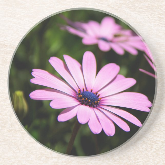 Dessous De Verre En Grès Marguerite africaine (Devant)