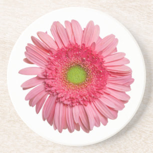 Dessous De Verre En Grès Marguerite rose de Gerbera
