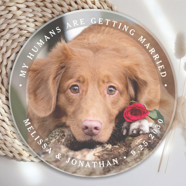 Dessous De Verre En Grès Mariage animal personnalisé Chien Photo Fiançaille (Créateur téléchargé)