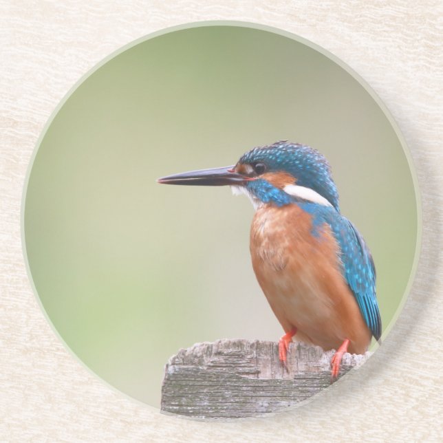 Dessous De Verre En Grès Martin pêcheur. (Devant)