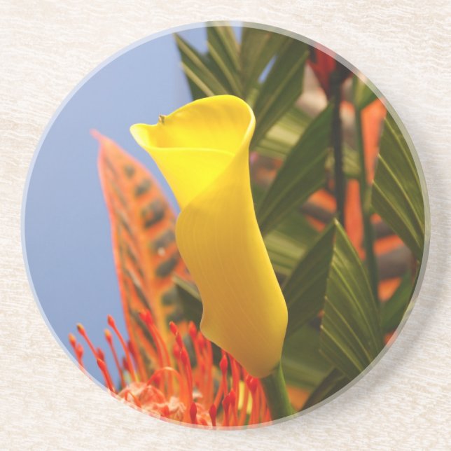 Dessous De Verre En Grès minuscule calla jaune (Devant)
