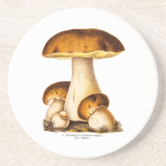 Dessous De Verre En Grès Modèle comestible de champignons de champignon (Devant)