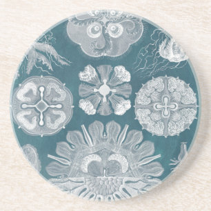 Dessous De Verre En Grès Modèle IV de vie marine