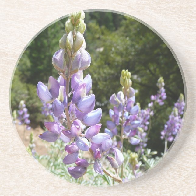 Dessous De Verre En Grès Mont Lupins (Devant)