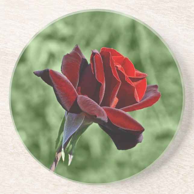 Dessous De Verre En Grès Montagnes russes Red Rose (Devant)