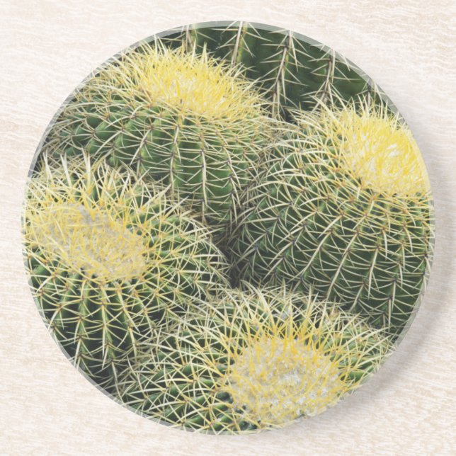Dessous De Verre En Grès Motif de cactus (Devant)