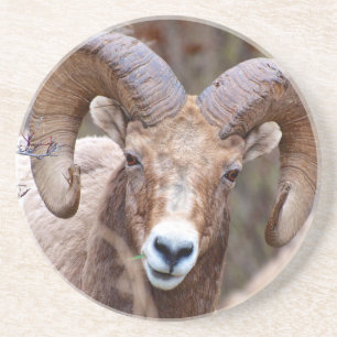 Dessous De Verre En Grès Mouflon canadien des montagnes Rocheuses