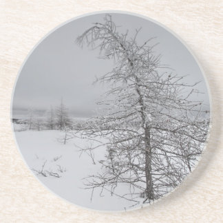 Dessous De Verre En Grès Narnia