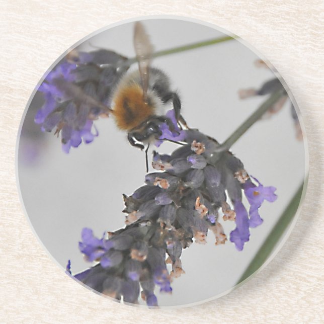 Dessous De Verre En Grès Natures de merveilleux travailleurs (Devant)