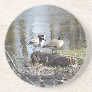Dessous De Verre En Grès Oiseau sale