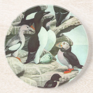 Dessous De Verre En Grès Oiseaux Puffins et Aquatiques de Louis Fuertes de