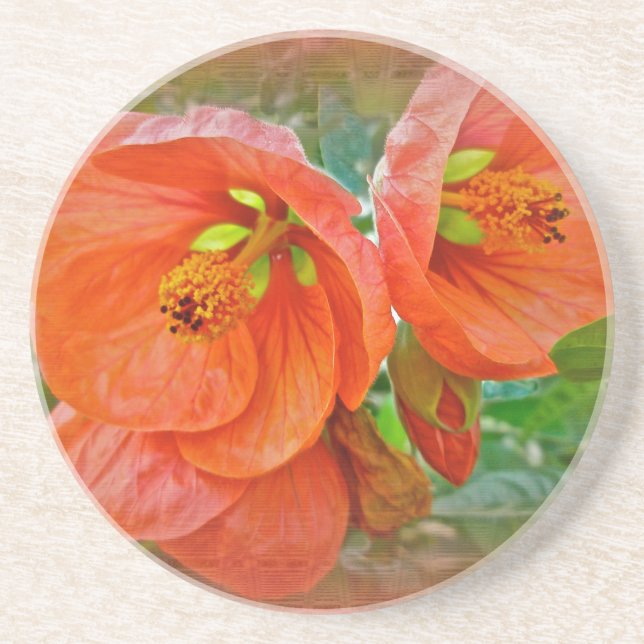 Dessous De Verre En Grès Orange Hibiscus Fleurs (Devant)