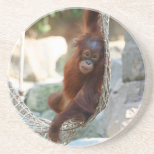 Dessous De Verre En Grès OrangUtan 001