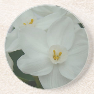 Dessous De Verre En Grès Orchidée blanche