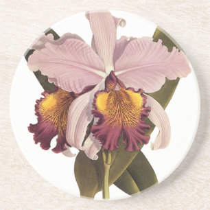 Dessous De Verre En Grès Orchidée vintage violette Cattleya, Fleurs tropica
