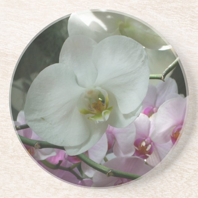 Dessous De Verre En Grès Orchidées blanches et violettes (Devant)