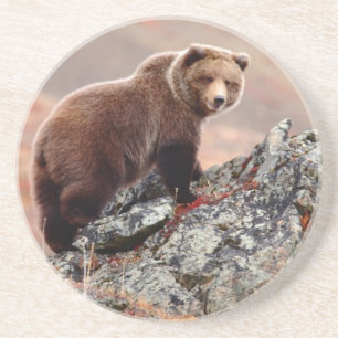 Dessous De Verre En Grès Ours Brown de Denali