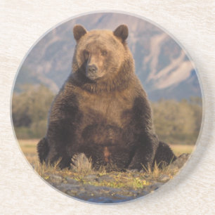 Dessous De Verre En Grès ours brun, Ursus arctos, grizzly, Ursus