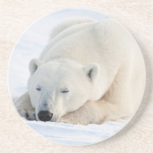 Dessous De Verre En Grès Ours polaire en hiver