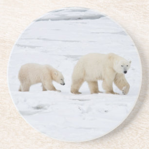 Dessous De Verre En Grès Ours polaires femelle et deux oursons