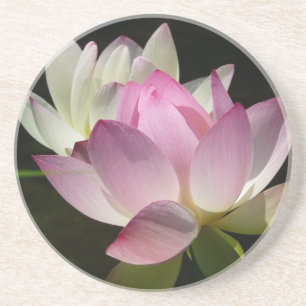 Dessous De Verre En Grès Paire de fleurs de Lotus II