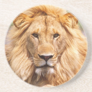 Dessous De Verre En Grès Paire de lions africains, Panthera leo, Tanzanie