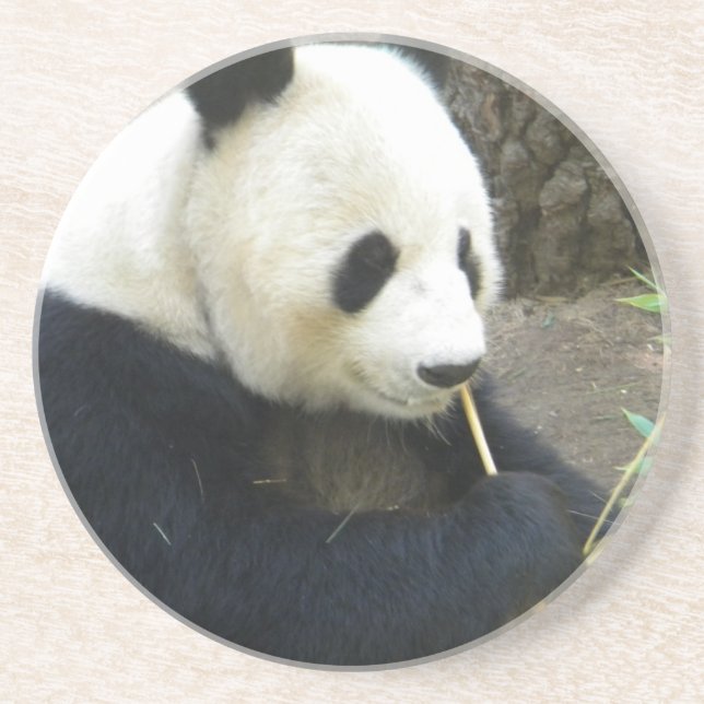 Dessous De Verre En Grès Panda Coater (Devant)