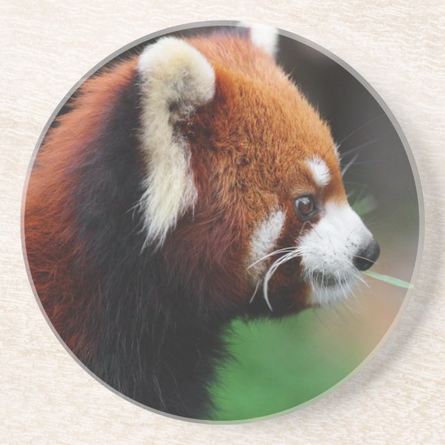 Dessous De Verre En Grès Panda rouge (Devant)