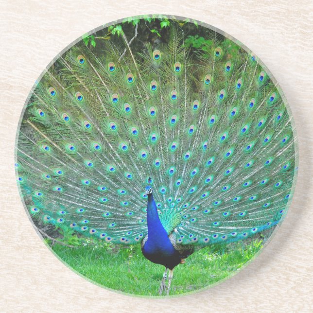 Dessous De Verre En Grès Paon léger (Devant)