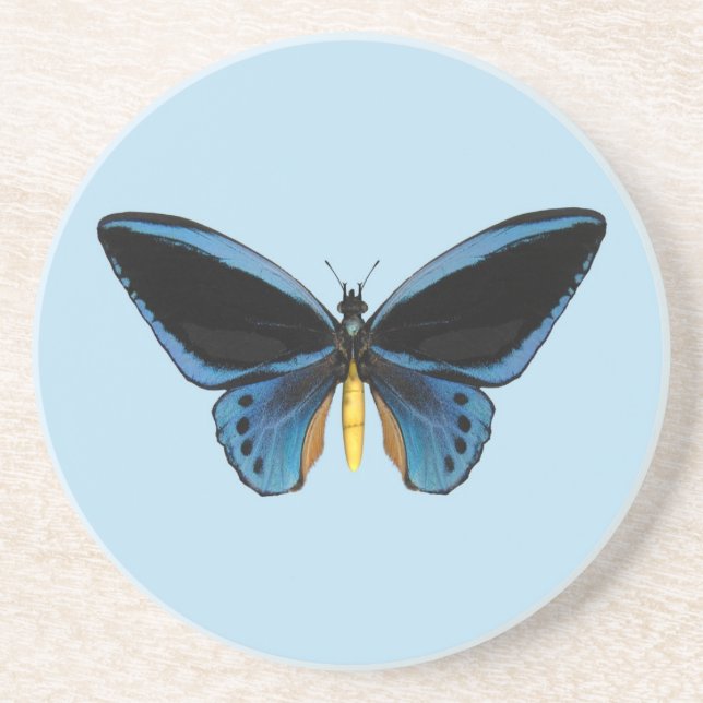 Dessous De Verre En Grès Papillon (Devant)