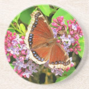 Dessous De Verre En Grès Papillon Brown avec points bleus sur Lilacs