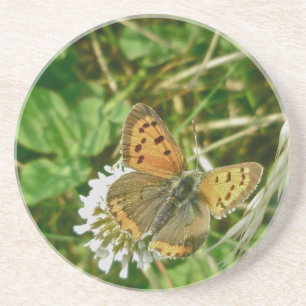 Dessous De Verre En Grès Papillon de cuivre américain