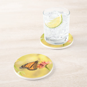 Dessous De Verre En Grès Papillon Monarque sur Zinnia