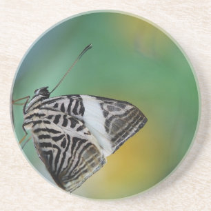 Dessous De Verre En Grès Papillon Tigre Noir et Blanc