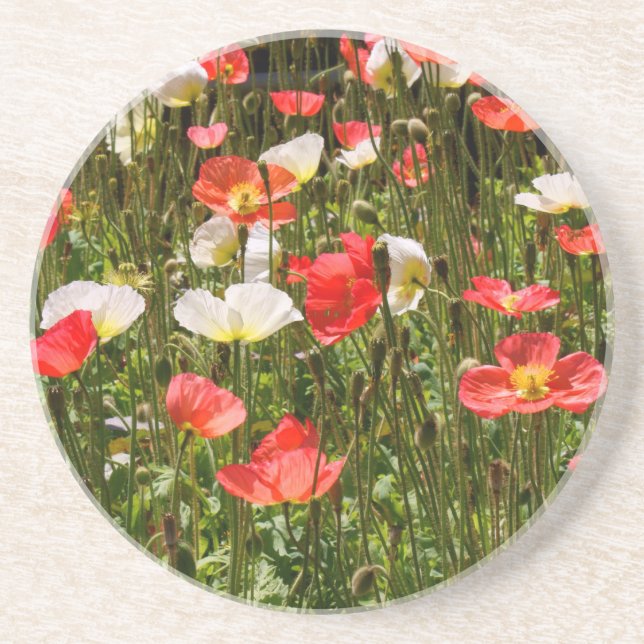 Dessous De Verre En Grès Pavots (Devant)