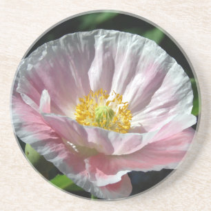 Dessous De Verre En Grès Peinture sur le pavot