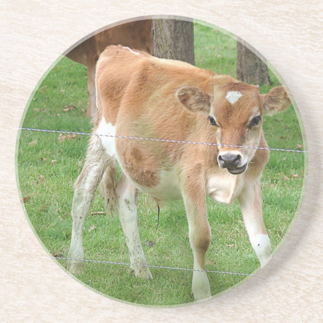 Dessous De Verre En Grès Petit Calf (Devant)