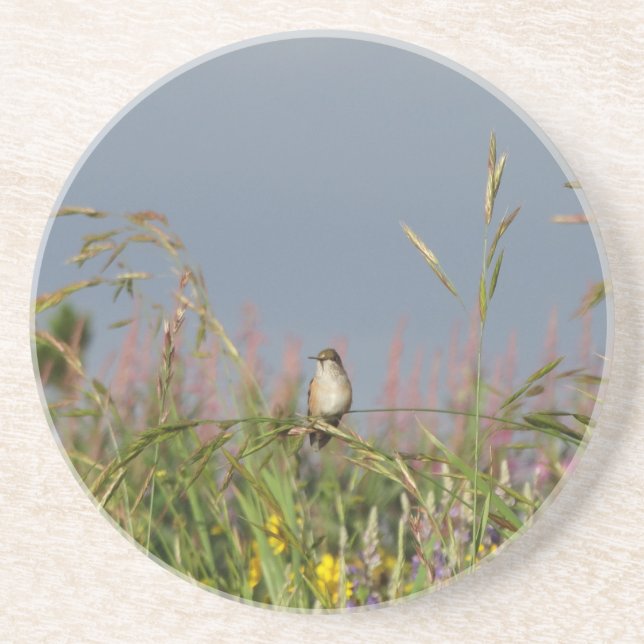 Dessous De Verre En Grès Petit colibri gras (Devant)