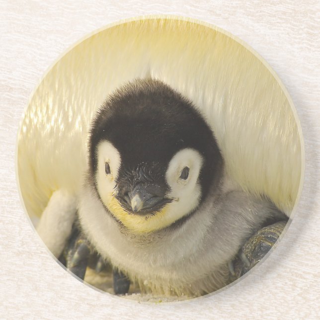 Dessous De Verre En Grès Petit pingouin (Devant)