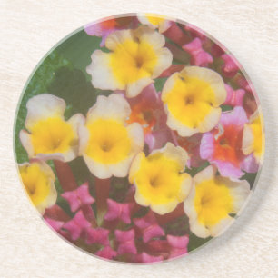 Dessous De Verre En Grès Petites Fleurs Tropicales Jaunes Aux Bureaux Roses