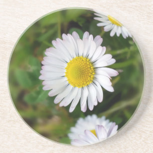 Dessous De Verre En Grès Petites marguerites
