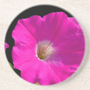 Dessous De Verre En Grès pétunia rose