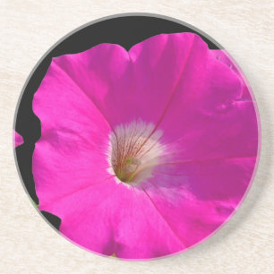 Dessous De Verre En Grès pétunia rose
